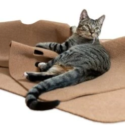 Canadian Cat Company Spielteppich Für Katzen Braun -Ruffwear Verkäufe 446d45749f5e58cb5a7dbc00eb3558dbe40784fe 1394213 de DE 80770b9625226d955903498b97e7018485822aeeDB3L2u