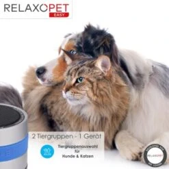 RelaxoPet EASY Tierentspannungs-Trainer Für Hunde Und Katzen -Ruffwear Verkäufe 4476be157af12df554867b6e93f144b9ceb36a4a 1396143 de DE d434b17460c4f49edf8862d0c0ea4bbeca4221e3ODM7na