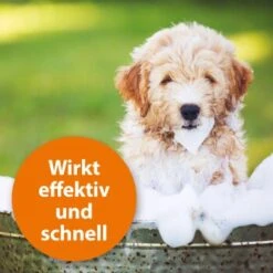 Ardap Anti Zecken Shampoo Für Hunde 250ml -Ruffwear Verkäufe 45234aab493187b4f025c9c1611ba91401852a61 1289723 de DE 011c29b51870fd299b578444e9341eb4fefc30b304XMpl
