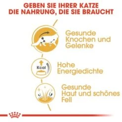 ROYAL CANIN Maine Coon 12x85g -Ruffwear Verkäufe 45de5de28bb0cf1702840672ec10e019d1069826 1229815 de DE rc 3