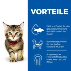 Hill's Science Plan Kitten Multipack Mit Huhn Und Seefisch 12x85 G -Ruffwear Verkäufe 463b640dbed78dd738a2b07fd8aec2aae4b06733 52742211503 5