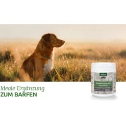 Aniforte BARF-Line Naturkräuter Mix 250g 7 Aniforte BARF-Line Naturkräuter Mix 250g -Ruffwear Verkäufe 464ddda8fc38a6e027c6cafe7fde53f2ad109df8 1477973 de DE 4e7a685a7dd87aa68a02cfea6763367892d36c13HaZ7EK