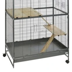 MORE FOR Nagerkit Für Voliere Darwin