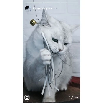 Kater Kasimir Deluxe Set Mit 9 Beliebten Katzenspielzeugen Aus Naturmaterial Und Handgemachtem CATMOM Armband 6 Kater Kasimir Deluxe Set Mit 9 Beliebten Katzenspielzeugen Aus Naturmaterial Und Handgemachtem CATMOM Armband – Bild 6