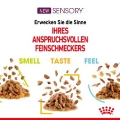 ROYAL CANIN SENSORY Smell In Gelee Für Wählerische Katzen 12x85g -Ruffwear Verkäufe 4a632532d23d065e189b82401db5c561b6749e74 bbe7e159ee2cfcc0155771b211da953377ec5c40