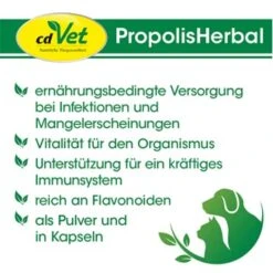 CdVet PropolisHerbal 20g 20 G -Ruffwear Verkäufe 4a7efe6ef39282013962edb4cdfff7ab064f50b7 1410702 de DE 9b563d2bb5da29720c09af2146e96e196b550558zVf5j7