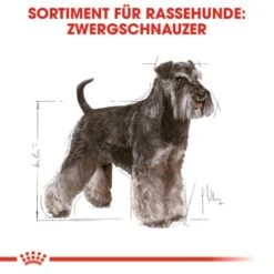 ROYAL CANIN Zwergschnauzer Adult 3kg -Ruffwear Verkäufe 4b254e5382fabcd23f48acb6657e77713d8a691f 070e96f3f4004e947ccdcc877c4e123371366cdd