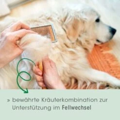 Fell & Haut Vital 150 G -Ruffwear Verkäufe 4b5f7de965eae94531d5560734f33444a0071a93 1049905 de DE 2d1bc3a540575105062fbc54df85eb515b459321CnG7ce