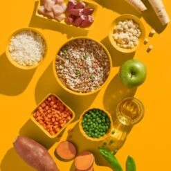 Fred & Felia FRED 10x200g Huhn Mit Reis -Ruffwear Verkäufe 4df177d9b2b02154a420d4941abc413f894d2bde 1422064 de DE e6a828c782f8e596bfacddaff55a6cca79947cfbKHPOzt