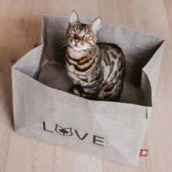 Canadian Cat Company Katzenbett Winnipeg -Ruffwear Verkäufe 4f163c23f3c00759be25633fb22100eb50b10eed 1360995 de DE e27163ea0c21fd571c9e22268b69a4d1b68affe5UBt2yy