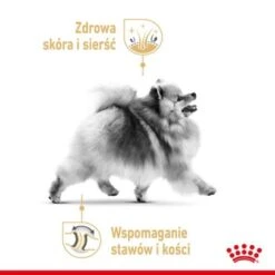 ROYAL CANIN BHN Pomeranian 1,5 Kg 26 ROYAL CANIN BHN Pomeranian 1,5 Kg -Ruffwear Verkäufe 51a3cfa37cba141429871cd9fae968a18159ed03 1379877 31