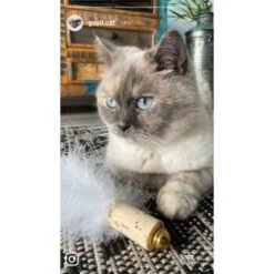 Kater Kasimir Deluxe Set Mit 9 Beliebten Katzenspielzeugen Aus Naturmaterial Und Handgemachtem CATMOM Armband 11 Kater Kasimir Deluxe Set Mit 9 Beliebten Katzenspielzeugen Aus Naturmaterial Und Handgemachtem CATMOM Armband -Ruffwear Verkäufe 53dfde9e2fe82dcabccac0c3ca73172551111df6 1408141 de DE 911e17a5e45692f3789ac8bc9aee946048898d74cBDD0E