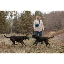 Ruffwear Pacific Ring™ Spielzeug Blau/ Türkis -Ruffwear Verkäufe 55dba30b9a5e3fc77d29bb72e0dc6fad83c40ffc 1444351 de DE 8a3b2d989e7fae2c85eabfcfca3bb7709484f9a3jKDH9l