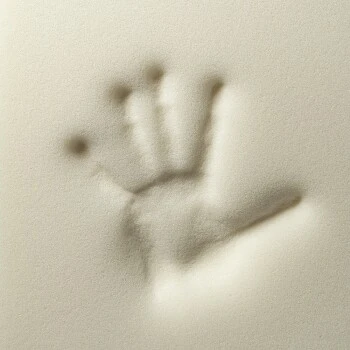 Rexproduct Otto Orthopädisches Hundebett Dunkelblau S-XL Dunkelgrün S 3 Rexproduct Otto Orthopädisches Hundebett Dunkelblau S-XL Dunkelgrün S – Bild 3