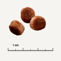 SELECT GOLD Sensitive Digestion Adult Geflügel Und Reis 2,5 Kg -Ruffwear Verkäufe 571cc49e96eaa29d93cdb9496136ed90f38f0ce7 1243347 de DE 6