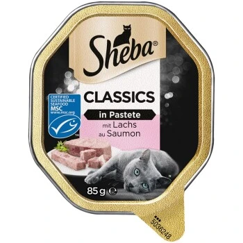 Sheba Classics In Pastete 22x85g 1 Sheba Classics In Pastete 22x85g