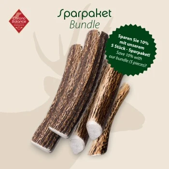ChronoBalance Geweih Ganz (L) 2er Paket 2 ChronoBalance Geweih Ganz (L) 2er Paket – Bild 2