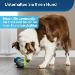 PetSafe Elektronisches Hundespielzeug Ricochet -Ruffwear Verkäufe 5eadda9b8e1c472d17e8160a968897c5f1589a26 1418724 de DE f0080b3bce77c44349e2b70b9453ceaf44e2d3d6nqnVTG