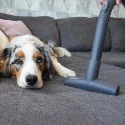 THOMAS Perfect Air Animal Pure 13 THOMAS Perfect Air Animal Pure -Ruffwear Verkäufe 603137fb8b3080096fe34bb0ce0b35713a0081ec 1406731 de DE 61ffd08a4c243aaa506c87a5b11107f7ffeaf308tEO6cw