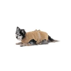 Lills Lill's Hundebademantel "Sand" 30 Cm -Ruffwear Verkäufe 620b9f71331a102669bdf4209085f5a823f4c7b2 1488040 de DE d9bb8c81e8e703d7ddfd926de5d56ba036fba14aXdwgqi