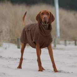 THE DOG IDEA Bademantel Every Braun XXXS -Ruffwear Verkäufe 62c517832f7f923b83b0a0ee681a77b2e33cc3c3 1473036 de DE 2393ef51979dd0191b0261c826741cb7543b7b3brAaZfV