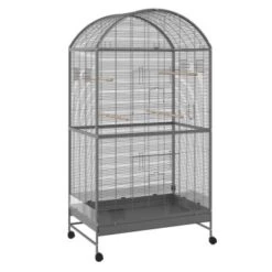 MORE FOR Voliere Darwin