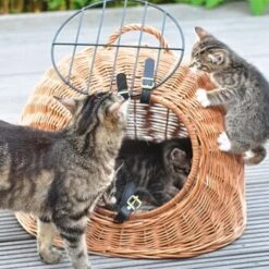 Aumüller Rattanhöhle Gesottene Weide -Ruffwear Verkäufe 644da56b8da52f185185b101fb3460690748ee17 ed38553d0e52453b951e62f08b371eb8a64cf3ed