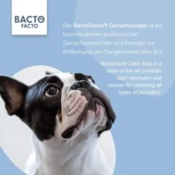 ChronoBalance BactoFacto Probiotischer Geruchsstopp Pads Für 2 Liter 20 Ml 9 ChronoBalance BactoFacto Probiotischer Geruchsstopp Pads Für 2 Liter 20 Ml -Ruffwear Verkäufe 6515b6e6800e68909a0a5f7e0f816613e8c36542 1397549 de DE 9a466fcf5c88e78df191b07c6d764f4746df49dcxtsIbT