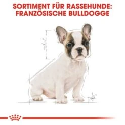 ROYAL CANIN Französische Bulldogge Puppy 10 Kg -Ruffwear Verkäufe 6533c1a96ca75c136f89ff9cc048ac3b0cef85da 285b59c4eb743c45432d7efc45498582cabbc6e9