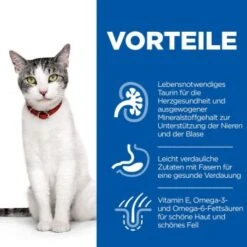 Hill's Science Plan Senior 11+ Mit Huhn 3 Kg -Ruffwear Verkäufe 65355ea3910df3a9bf78bcc29cf7e0f454b27f86 52742023359 4