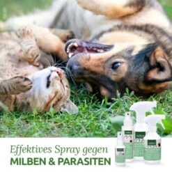 Aniforte Milben-STOP Spray Für Hunde Und Katzen 100 G -Ruffwear Verkäufe 65c573e701babc35d0222949c6f8e5e51e98ed10 1656142 de DE a537cb98349378307bdd6f629cf67a682ee52db6lSupmg