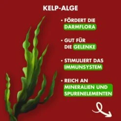 Irish Pure - Rind, Huhn + Gemüse & Kelp 1,5 Kg -Ruffwear Verkäufe 6614a262a5338c400049d067ca043e5726b4882d 1274248 de DE c743aaaf5de4844ec31cc2b80926e5beb042a8ccwoyMTt