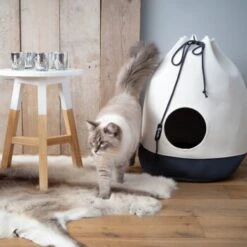 Ruffwear Verkäufe -Ruffwear Verkäufe 6682bb20b8186cc5078f9ae7c8e7229abb253b70 28a4d5a5aed6f0efafcd17f18659068f7a43552e