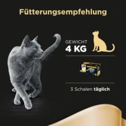 Sheba Selection In Sauce 32x85g -Ruffwear Verkäufe 67890fa30c253ae14afae90d7afce36bf2d4bf55 f3d10d4a2b41518df483944aaa4f3a790f15504c