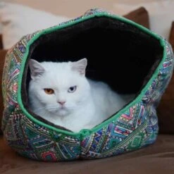 Canadian Cat Company Katzentunnel COSMO M 10 Canadian Cat Company Katzentunnel COSMO M -Ruffwear Verkäufe 67f448259cbca2b76f0f056d6321e3f462cbbfb2 1412665 de DE 5bb2b25340ddb934c05b11da4b3410ce26fcf1f8fEc8B6