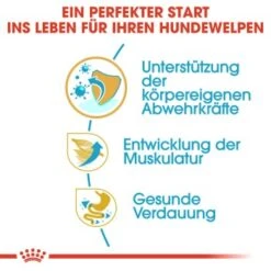 ROYAL CANIN Boxer Puppy 12 Kg -Ruffwear Verkäufe 688da358c7c13e34db44e38709f501f61e164dee b934048524a4df1f17cf77c3abbb472833d5297e