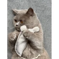 Kater Kasimir Premium Paket Mit 7 Beliebten Katzenspielzeugen Aus Naturmaterial 9 Kater Kasimir Premium Paket Mit 7 Beliebten Katzenspielzeugen Aus Naturmaterial -Ruffwear Verkäufe 69d850d83d44dd51ee163b4ce9871d685e5144a3 1408152 de DE 5e0e2fa341f3b7f13618444c260f3bc5df86140eIfTKHQ