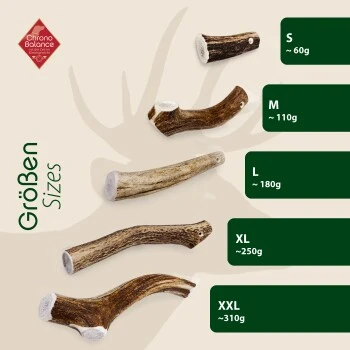 ChronoBalance Geweih Ganz (S) 2er Paket 5 ChronoBalance Geweih Ganz (S) 2er Paket – Bild 5