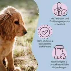 FAVLY Petfood Nature Cookies Pute 360 G 11 FAVLY Petfood Nature Cookies Pute 360 G -Ruffwear Verkäufe 6c9d1abe0a2c3e1ebe66676a84af974447985b3a 1474002 de DE 8376156006fe9b222994c99185dc131fb988c3c2LLZ2OM