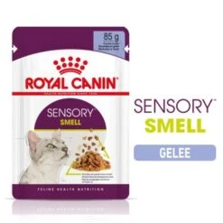Neue Veröffentlichungen 1 ROYAL CANIN SENSORY Smell In Gelee Für Wählerische Katzen 12x85g