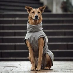 THE DOG IDEA Regenmantel Duke Greige XXXS -Ruffwear Verkäufe 6e94766435e0ee76deb96e14448408b91f0a4451 1472991 de DE 584dd93ca54aaa1360a81dd9d1f80b6546af5974nSN2ZF