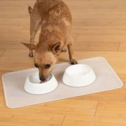 KaraLuna Basic Napfunterlage Transparent S 13 KaraLuna Basic Napfunterlage Transparent S -Ruffwear Verkäufe 6f92b46b9666870298738b4bee75a50ee534fac6 1407499 de DE 14497c23a79b7136237df13f9c32b5ed84fd5ff04vyZgl