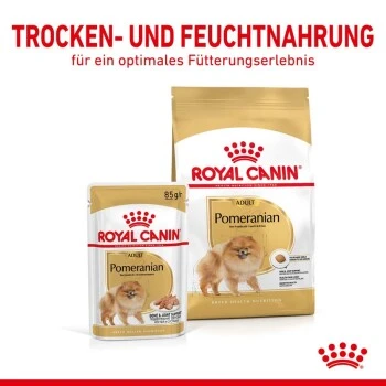 ROYAL CANIN BHN Pomeranian 1,5 Kg 5 ROYAL CANIN BHN Pomeranian 1,5 Kg – Bild 5
