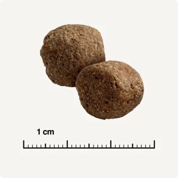 SELECT GOLD Sensitive Maxi Adult Insekt 12kg 6 SELECT GOLD Sensitive Maxi Adult Insekt 12kg – Bild 6