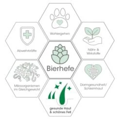 Fell & Haut Vital 150 G -Ruffwear Verkäufe 70d5facb186b381b20f4b60599e8ef87b7702a47 1049905 de DE 79c696d7ef6e7ff51d7da320d55601dcd109d761GPV9bb