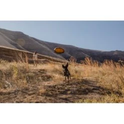 Ruffwear Hover Craft™ Spielzeug Orange -Ruffwear Verkäufe 7111f12b44323f3d6c15a85a889225520ab85f0d 1364297 de DE 664accd36f55b32e3ca302e20a868b09c8c0d85ePbTUSI