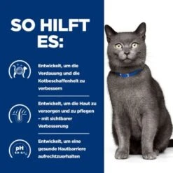 Hill's Prescription Diet D/d Food Sensitivities 3 Kg -Ruffwear Verkäufe 715c2a71513f1156c0e6f5987afb0d86de83e8ad 52742047584 5