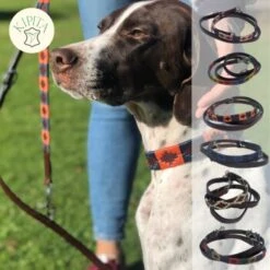 Kipita Polo Hundeleine Lively -Ruffwear Verkäufe 723664551049d07ec68d4460c73d9e010a1f061e 1410956 de DE 625a832dcf10b95b1e48e9321358f0ba1de3b45ee0gteQ