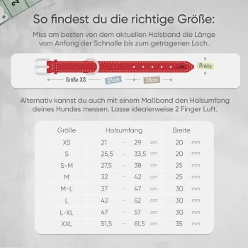 Freudentier Gefüttertes Halsband Aus Leder Rot L 2 Freudentier Gefüttertes Halsband Aus Leder Rot L – Bild 2