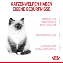 ROYAL CANIN Kitten 4 Kg -Ruffwear Verkäufe 76c69f287cfbe56e3ecbc6374c1c83282049ff9f 3182550702973 4